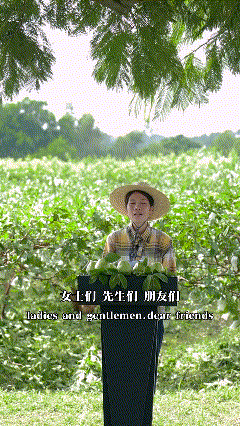 开口就是伦敦腔，中国主播杀疯了
