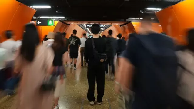 香港实施两年的"高才通"项目,是否如当局所愿?