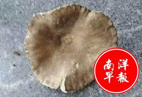 1个就致命   杭州女子舍不得吃  老公吃完进ICU