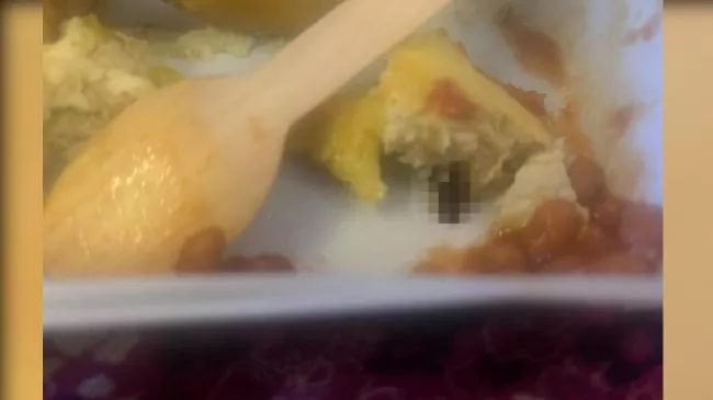 飞机餐吃一半才发现一整只蟑螂 女记者吓疯反胃