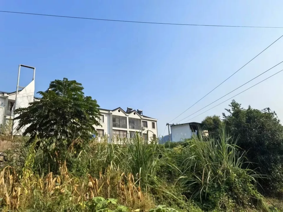 "头破血流的年轻人"去世后未举办葬礼,母亲这样说