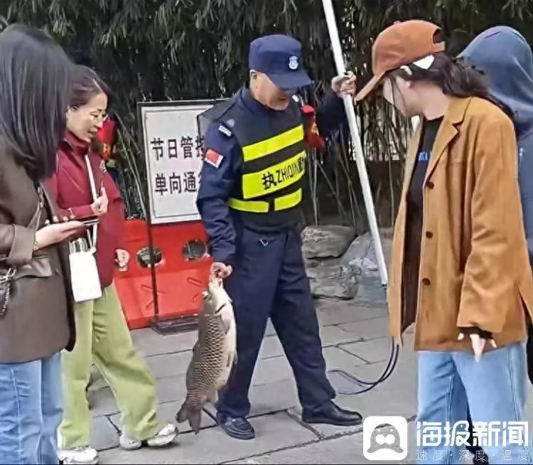 “网红猪鲤”疑撑死背后:游客热情投喂拦不住