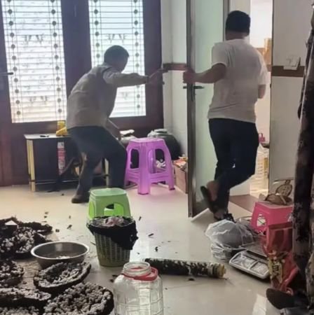 泡药酒放出虎头蜂 男子“关门落跑”丢下朋友