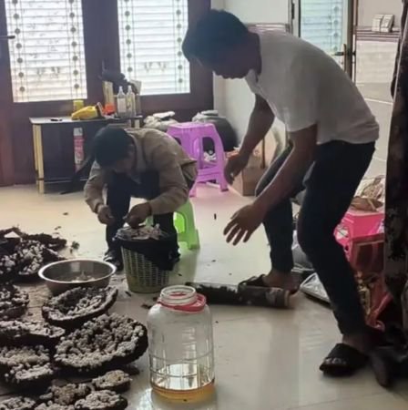 泡药酒放出虎头蜂 男子“关门落跑”丢下朋友