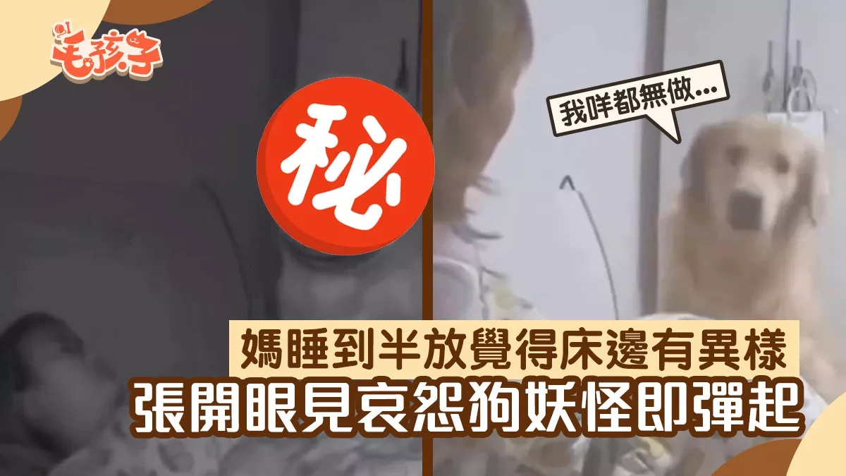 夜半感到被某人盯著 开灯看到“他”站在身边：饿坏了