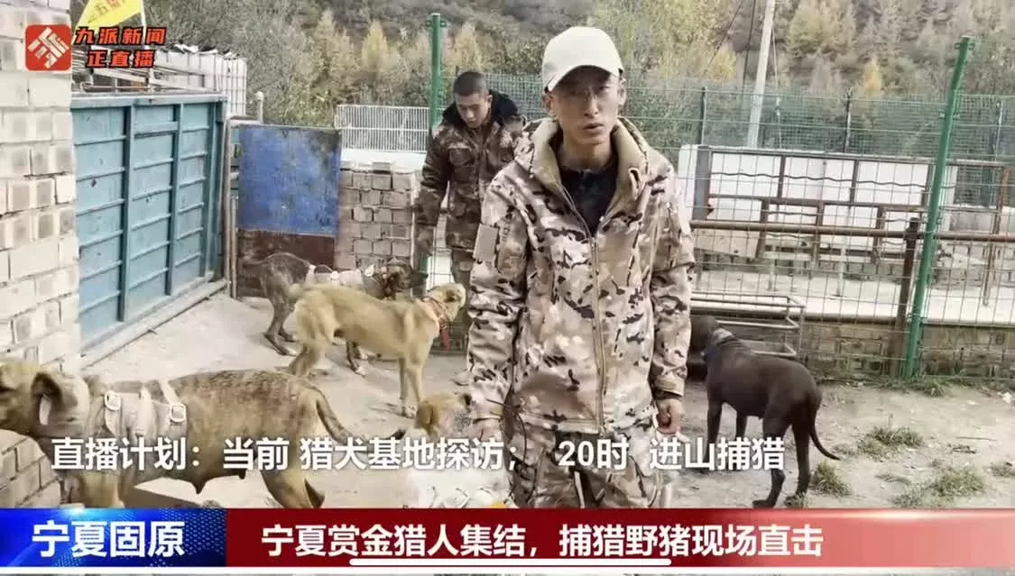 微信图片_20241022154837.jpg