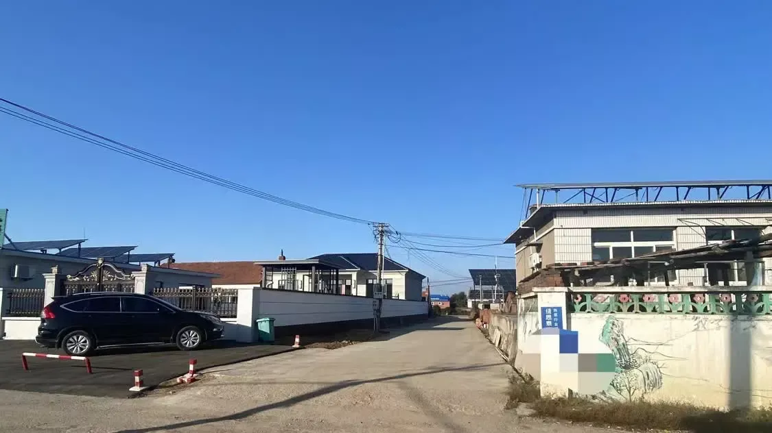 富裕的村镇里，一些家庭新修了房子 时代周报 李杭/摄