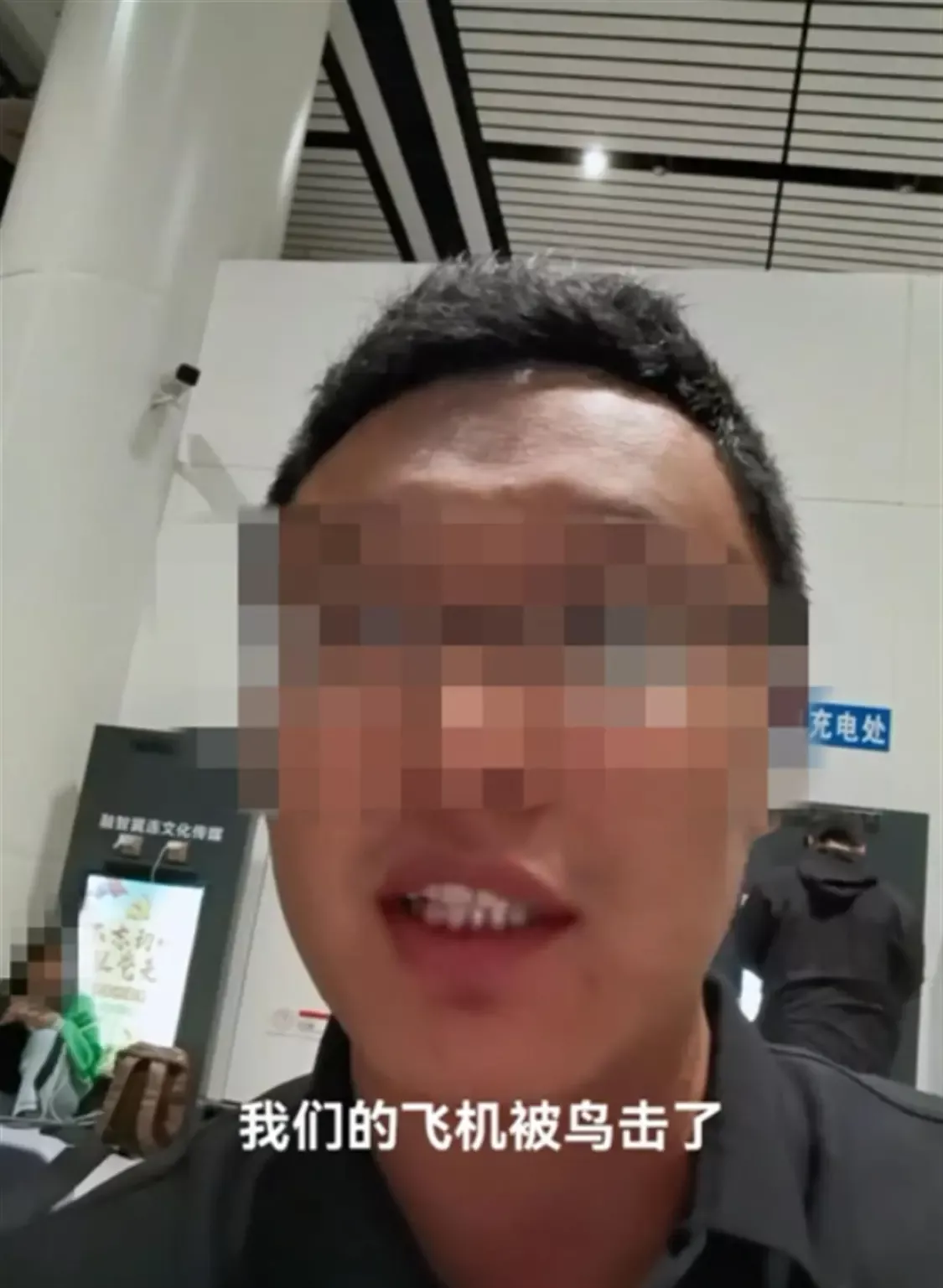 东航一航班中转落地时遇鸟击 更换飞机 延误6小时