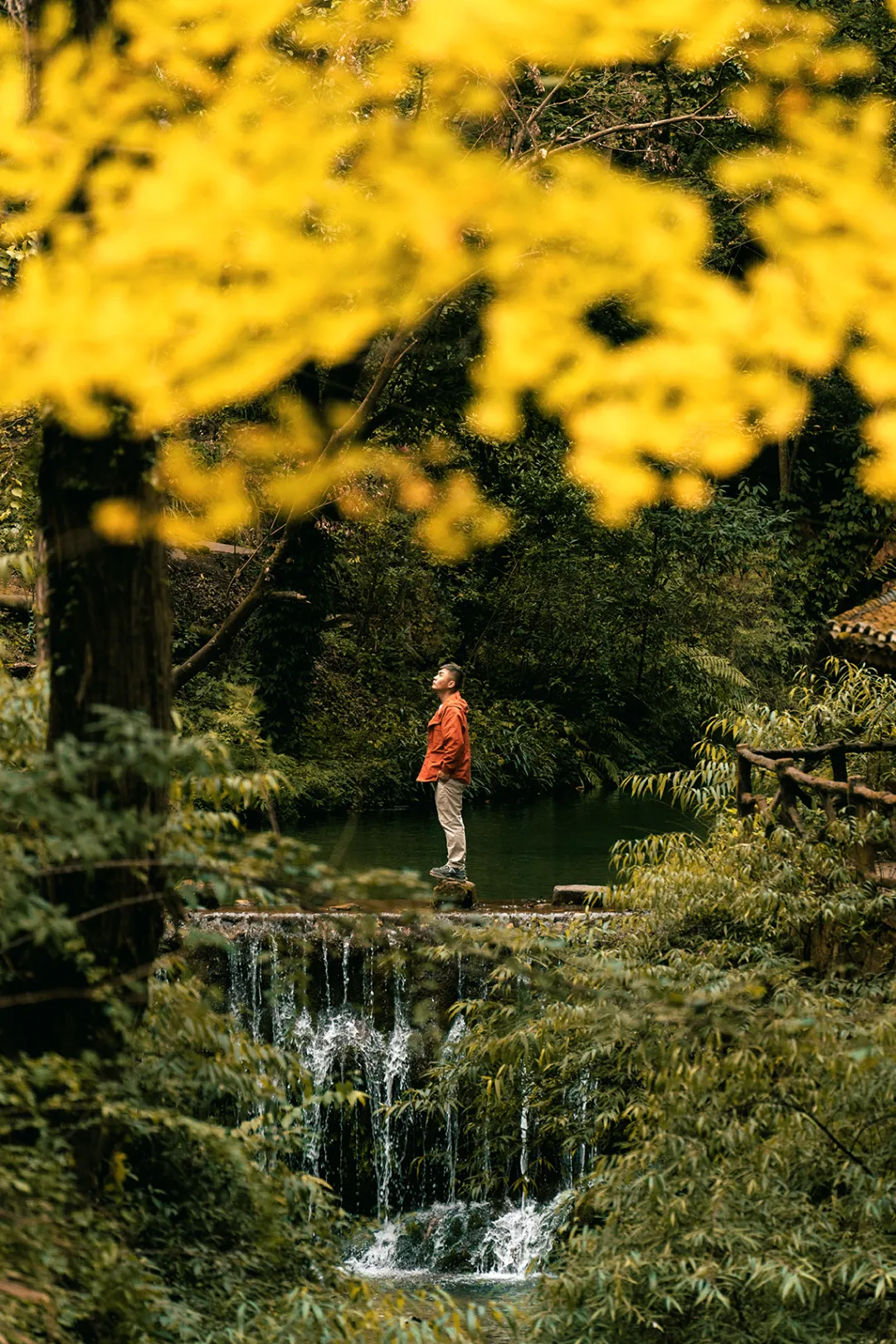 一秋知“五养”,这个西南秘境到底有多上头 一秋知“五养”,这个西南秘境到底有多上头