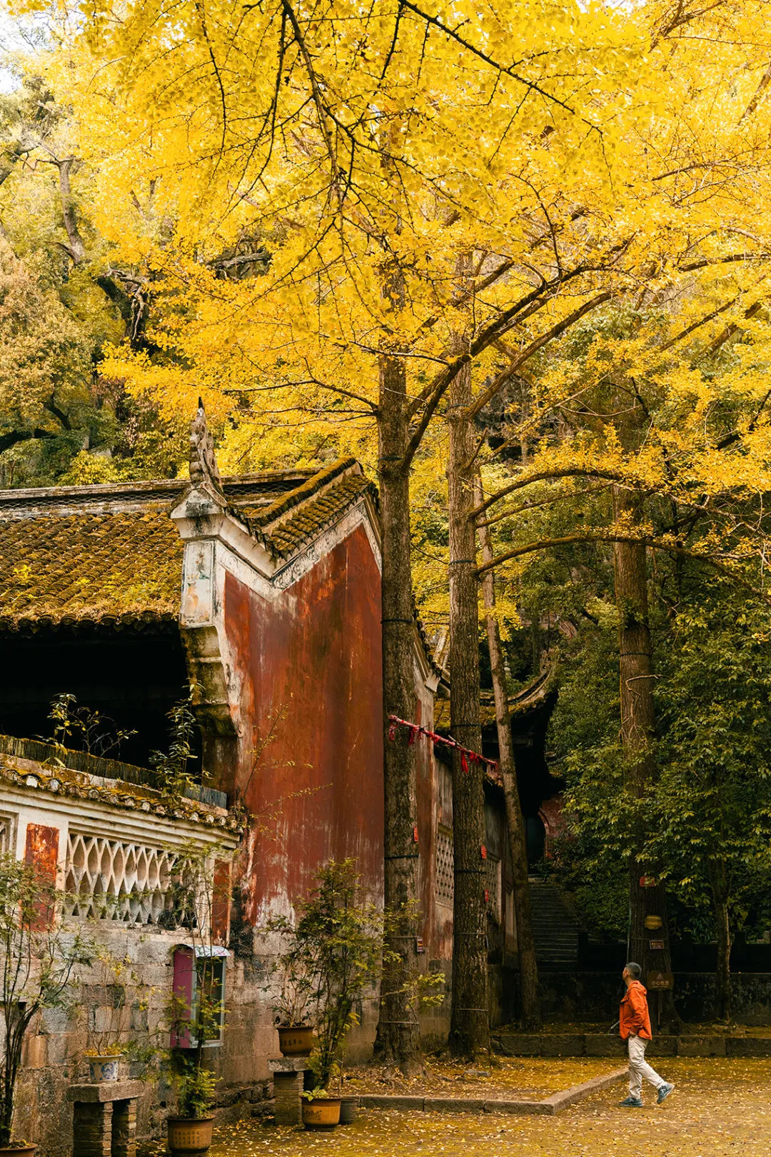 一秋知“五养”,这个西南秘境到底有多上头 一秋知“五养”,这个西南秘境到底有多上头