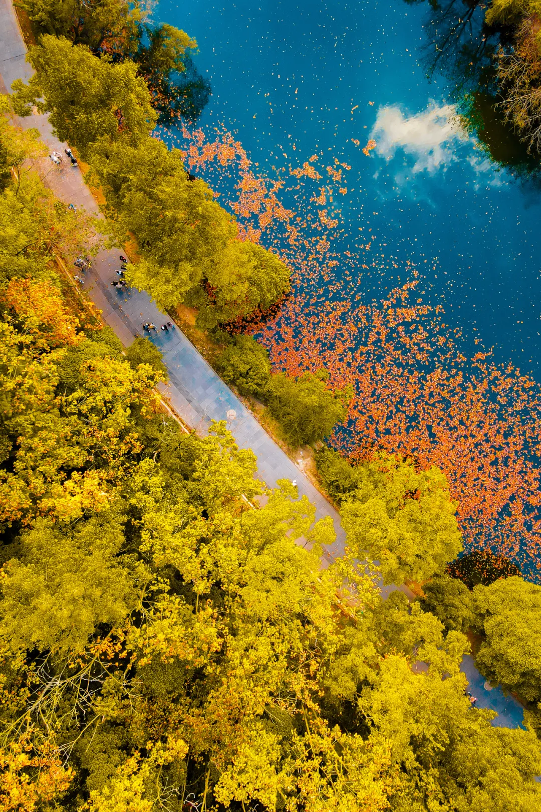 一秋知“五养”,这个西南秘境到底有多上头 一秋知“五养”,这个西南秘境到底有多上头