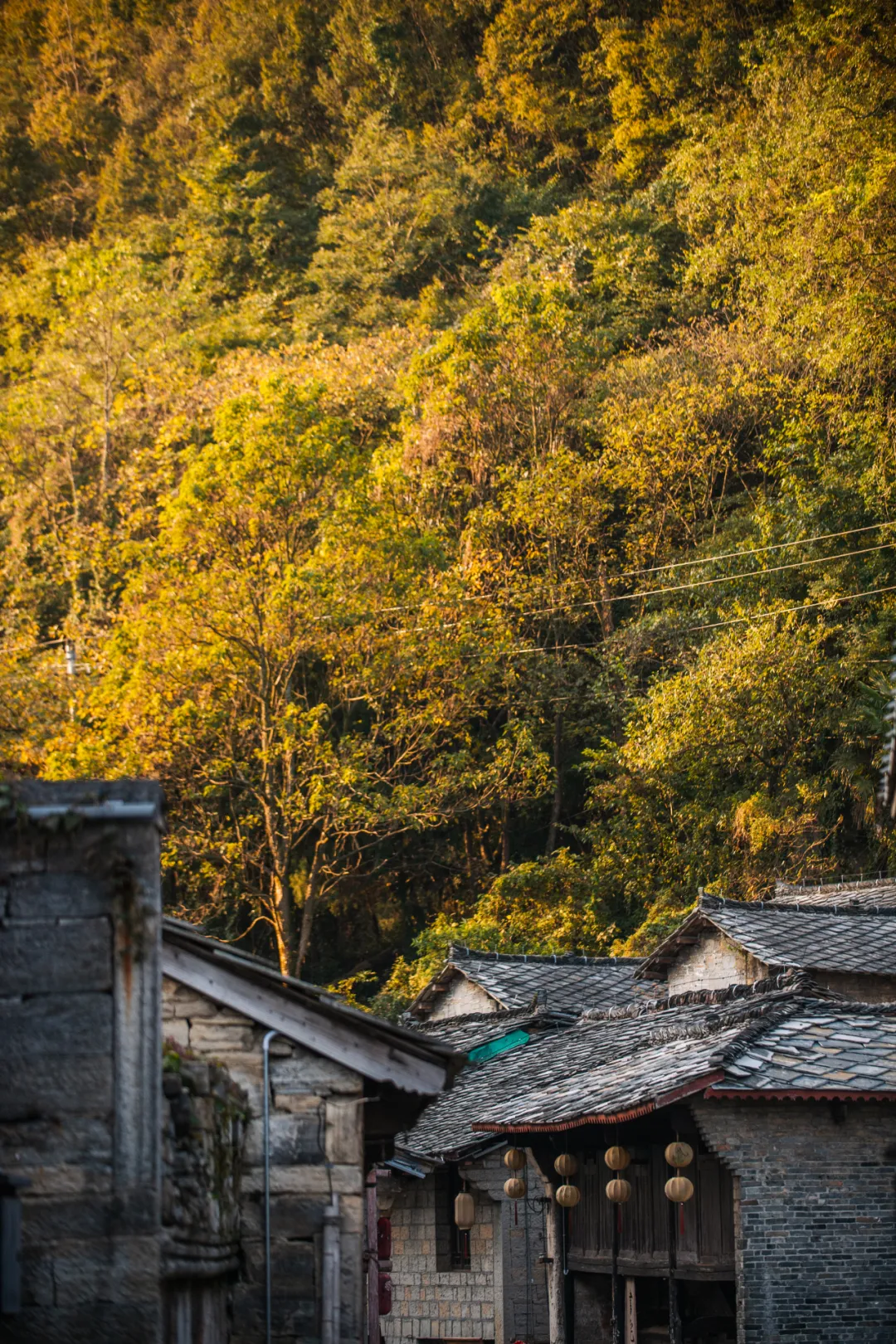 一秋知“五养”,这个西南秘境到底有多上头 一秋知“五养”,这个西南秘境到底有多上头