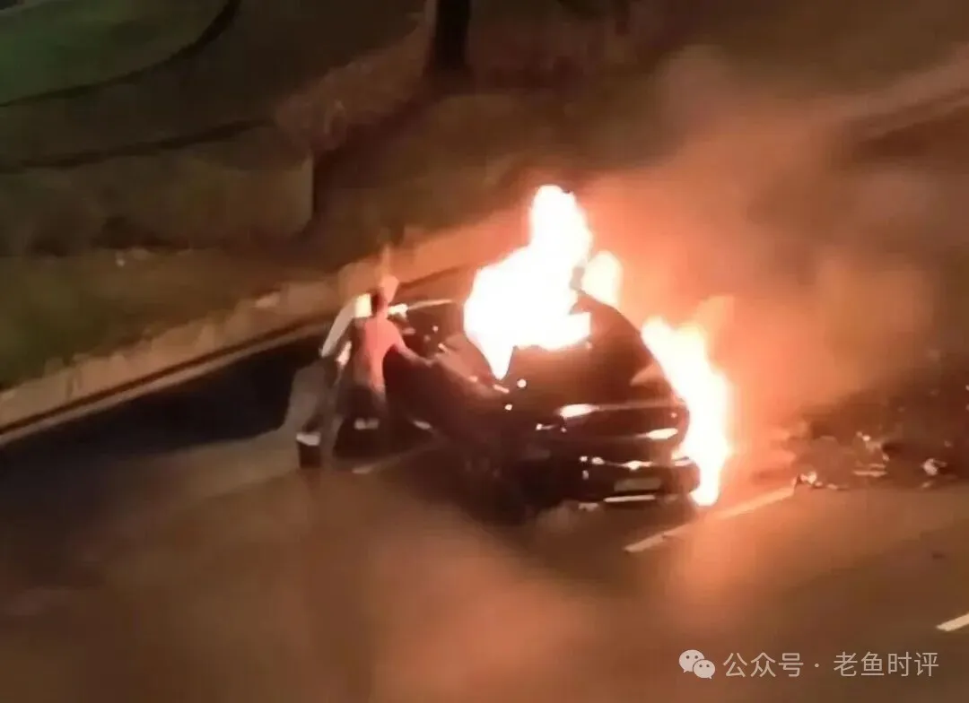 雷布斯的“速度”与“无情”