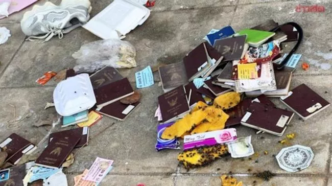 照片疯传:柬国街头满地外国护照 网友毛骨悚然