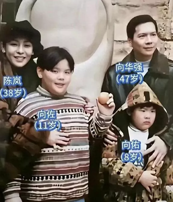 向太小儿子向佑现况！露面海南旅行