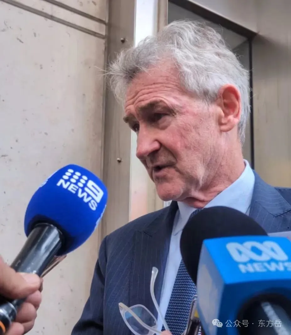 杨兰兰澳洲开庭 旁听华人大呼失望 杨兰兰澳洲开庭 旁听华人大呼失望