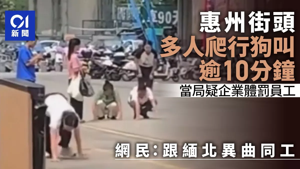 广东街头惊现:多人爬行狗叫 疑似企业体罚员工 网:跟缅北异曲同工