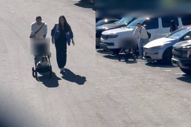 网上目前疯传一段疑似私生饭偷拍大谷翔平陪同妻女、爱犬低调进入球场的画面。（图撷取自@MrHeismanberg社群平台「X」，本报合成）