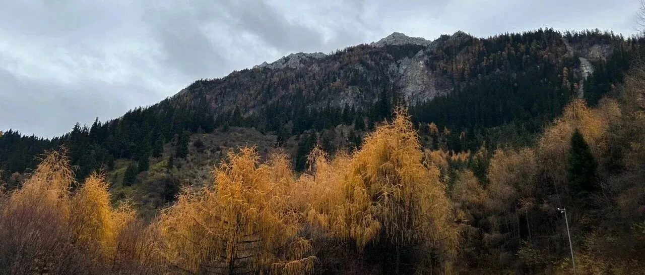 “哪怕天大的理由，他们都是畜生！”