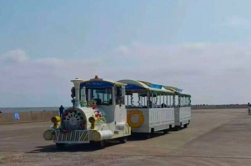 中国江苏观光车被强风吹到侧翻落水，造成4人死亡。（图撷自微博）