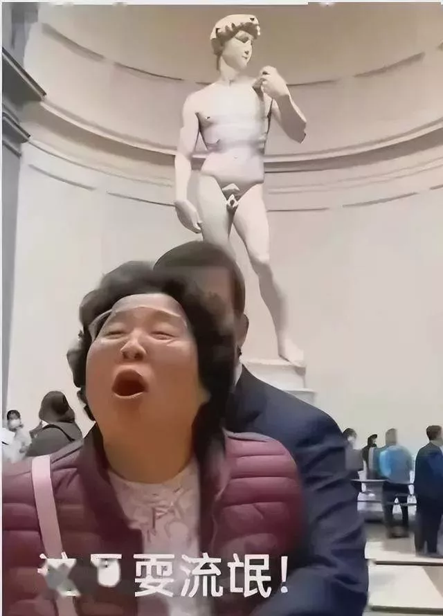 中国大妈佛罗伦萨怒斥大卫雕像：这是耍流氓！