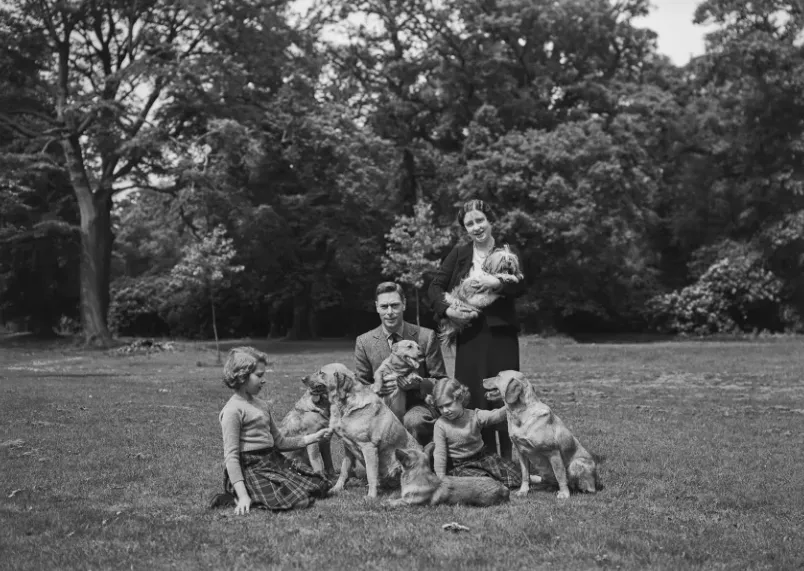 安德鲁1分钱租40公顷王室庄园!英王室要硬刚 安德鲁1分钱租40公顷王室庄园!英王室要硬刚