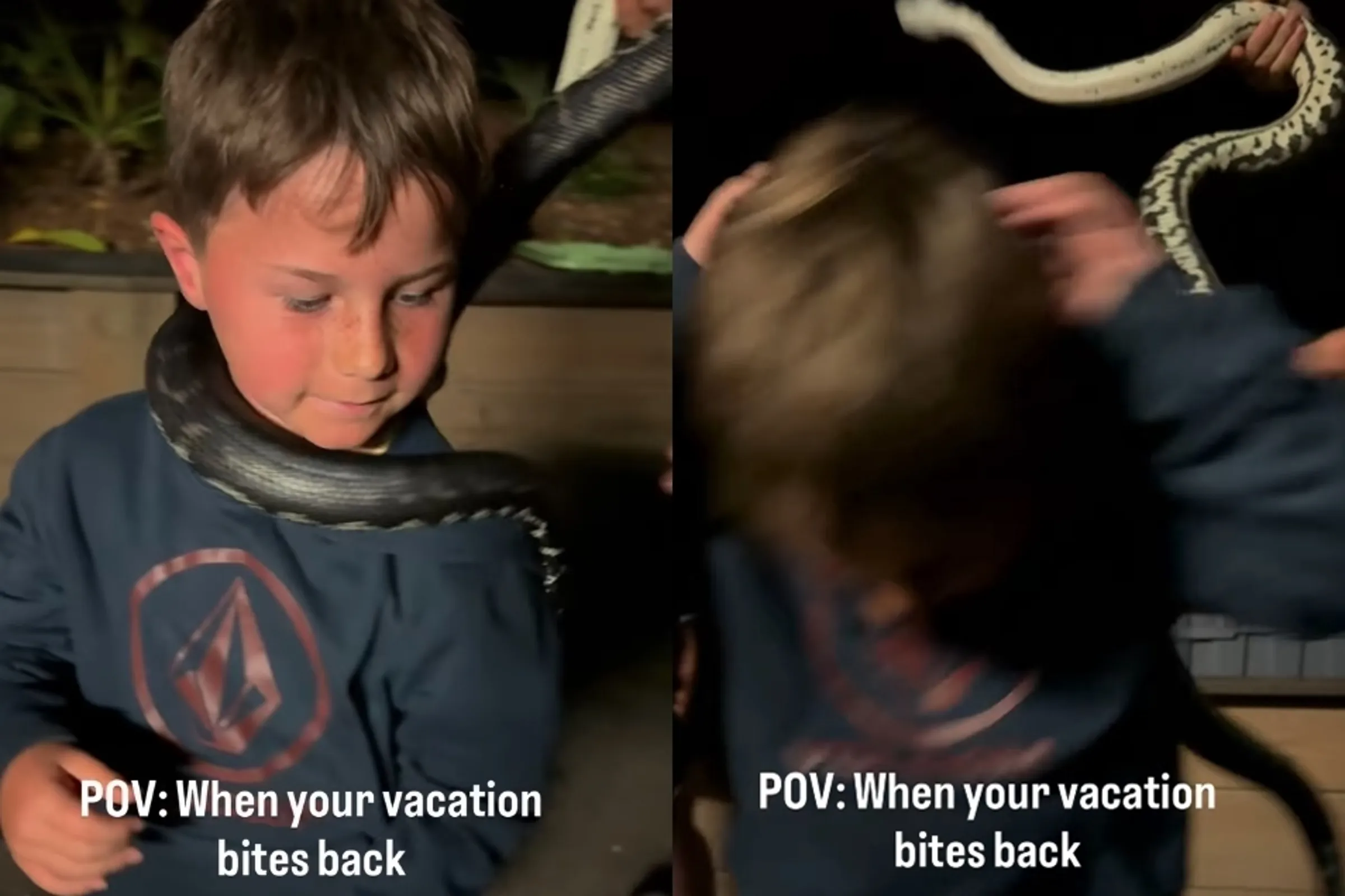 恐怖瞬间!澳洲男童动物园体验 遭蛇咬头爆血 恐怖瞬间!澳洲男童动物园体验 遭蛇咬头爆血