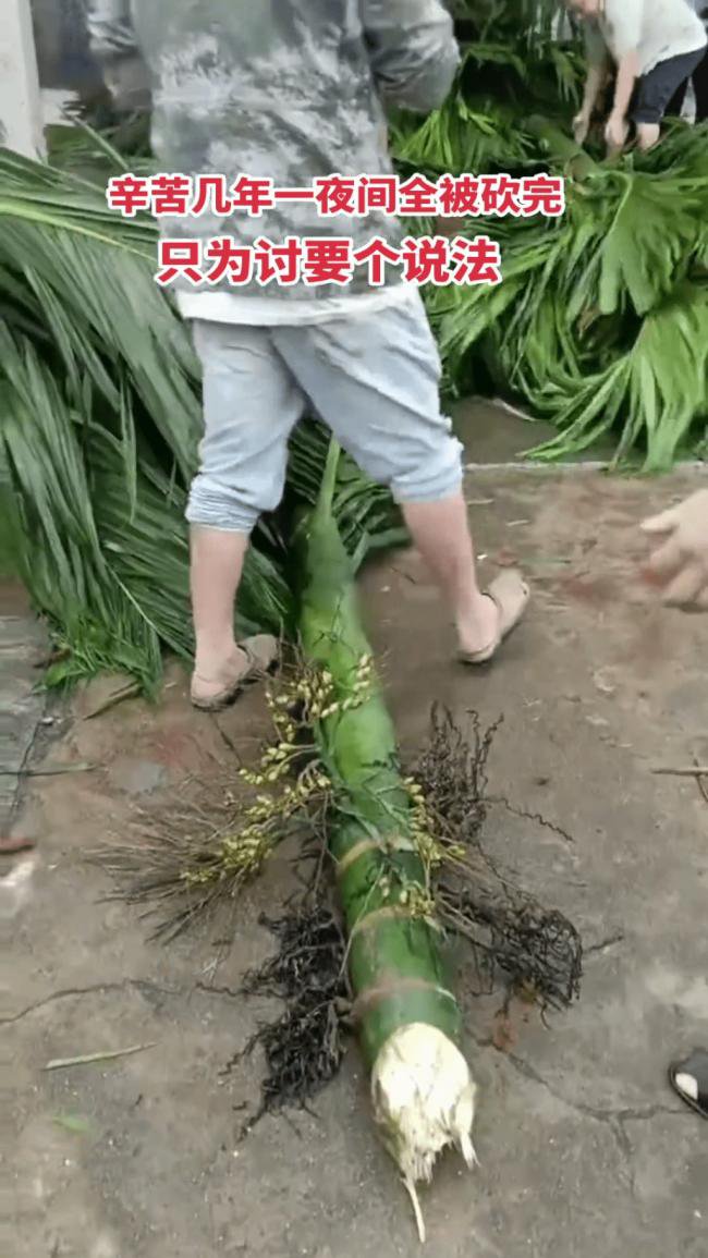 海南农民爆发大规模示威 网传警方一度鸣枪驱散