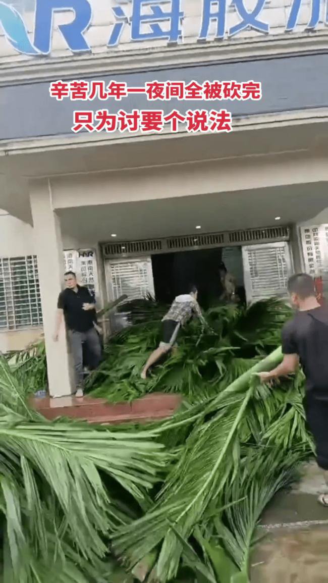 海南农民爆发大规模示威 网传警方一度鸣枪驱散