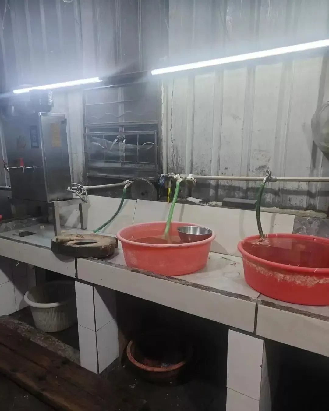 私房菜馆被曝宰杀活猫 煲“龙虎凤”