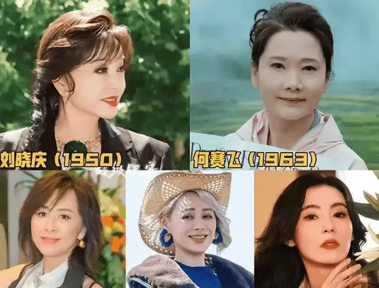 何赛飞录节目把嘉宾得罪完，她是情商低还是真性情？