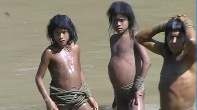 “森林中的兄弟”：守护亚马逊隔绝族群的奋战