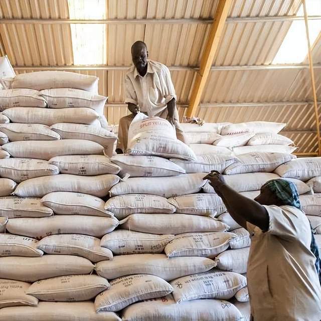 伏尸百万，这个国家已经进入大屠杀模式