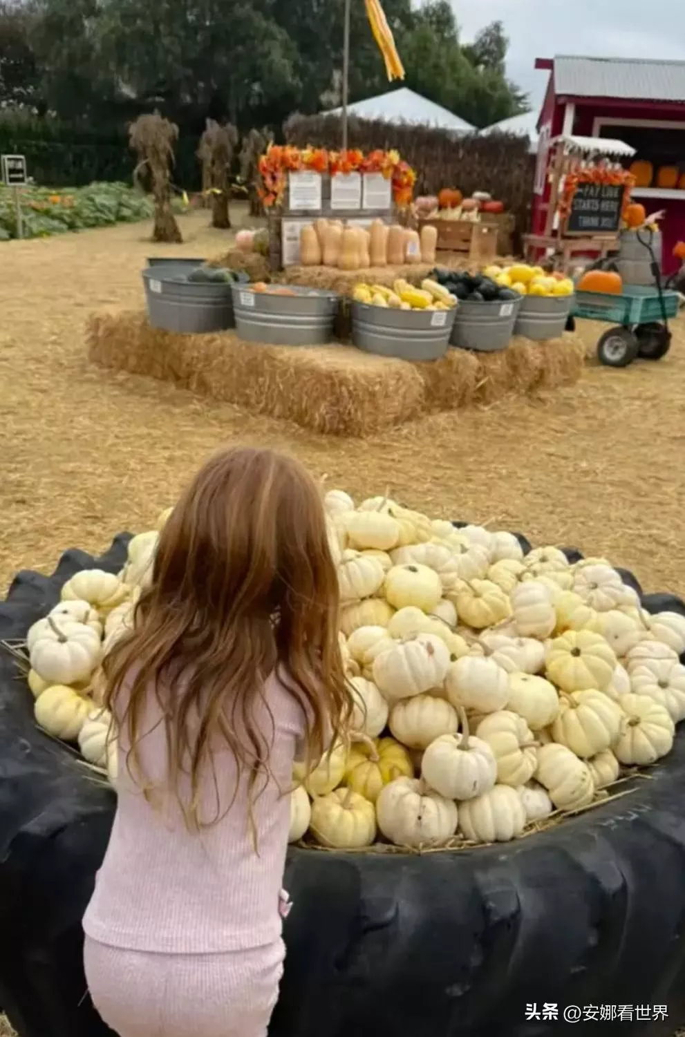 梅根晒娃晒了个寂寞，阿奇丽丽贝无法媲美凯特三宝