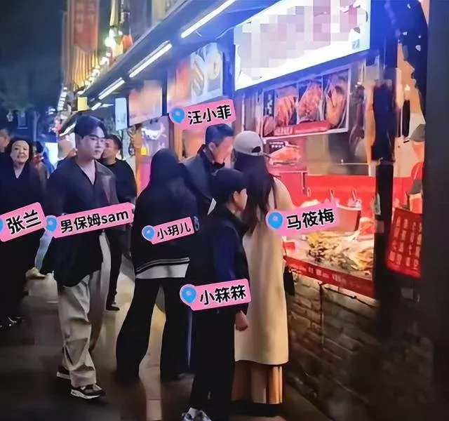 张兰被骂“重男轻女”，对大S儿女区别太大