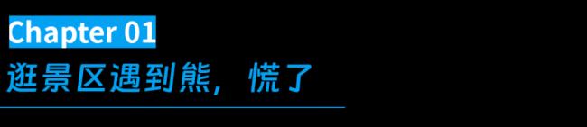 不敢去日本的游客,被现实版“熊出没”吓坏了 不敢去日本的游客,被现实版“熊出没”吓坏了