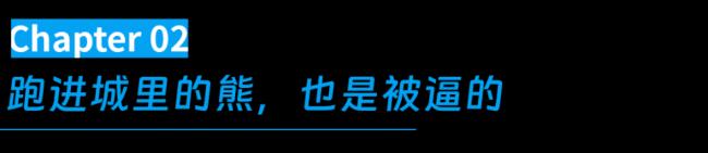 不敢去日本的游客,被现实版“熊出没”吓坏了 不敢去日本的游客,被现实版“熊出没”吓坏了