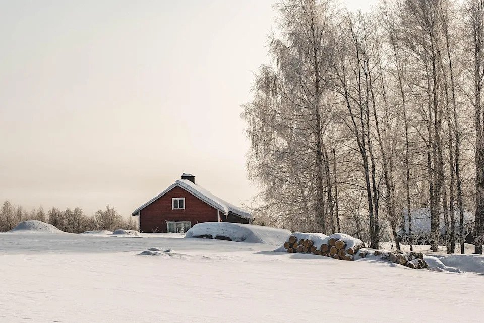 芬蘭人距離自然環境,平均距離只有200公尺。(示意圖/PIXABAY)