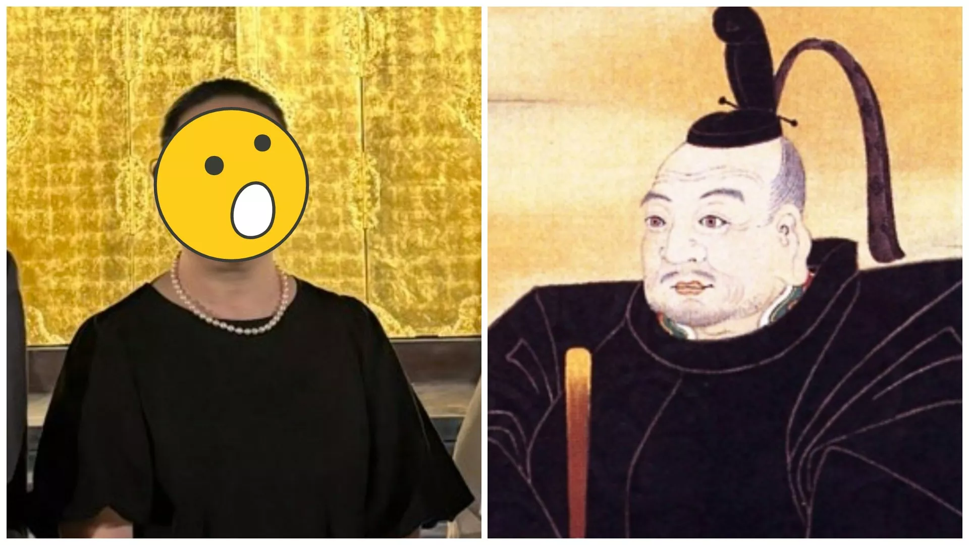 德川家康后代撞脸祖先 多张对比照引网民惊呼