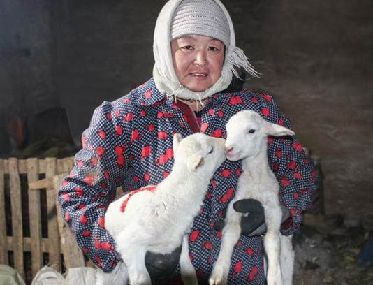 中国最好吃的羊肉 都在这张地图里 中国最好吃的羊肉 都在这张地图里