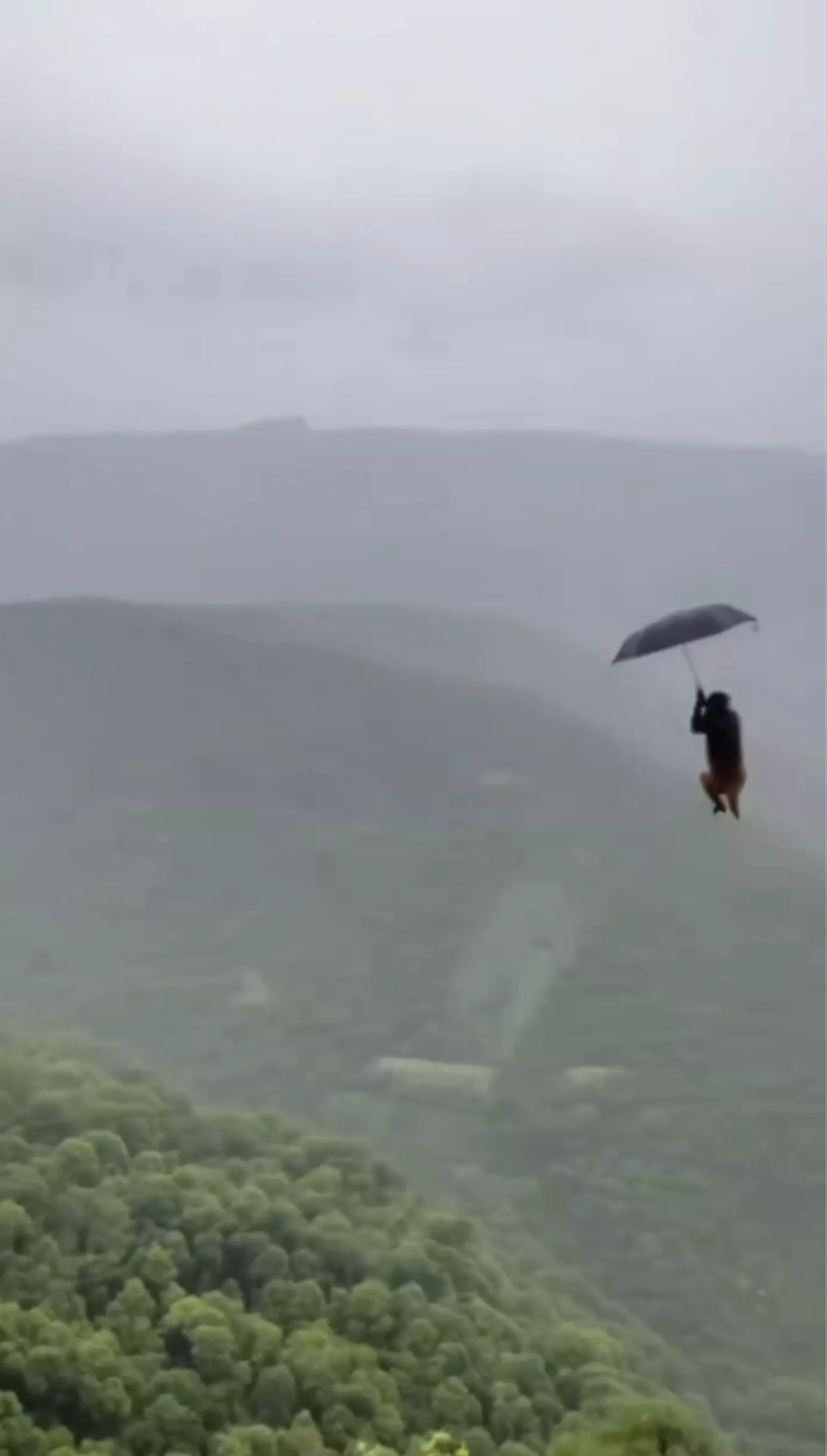 猴子将雨伞当成降落伞用,令网民爆笑,但都断言是AI生成。(视频截图) 猴子将雨伞当成降落伞用,令网民爆笑,但都断言是AI生成。(视频截图)