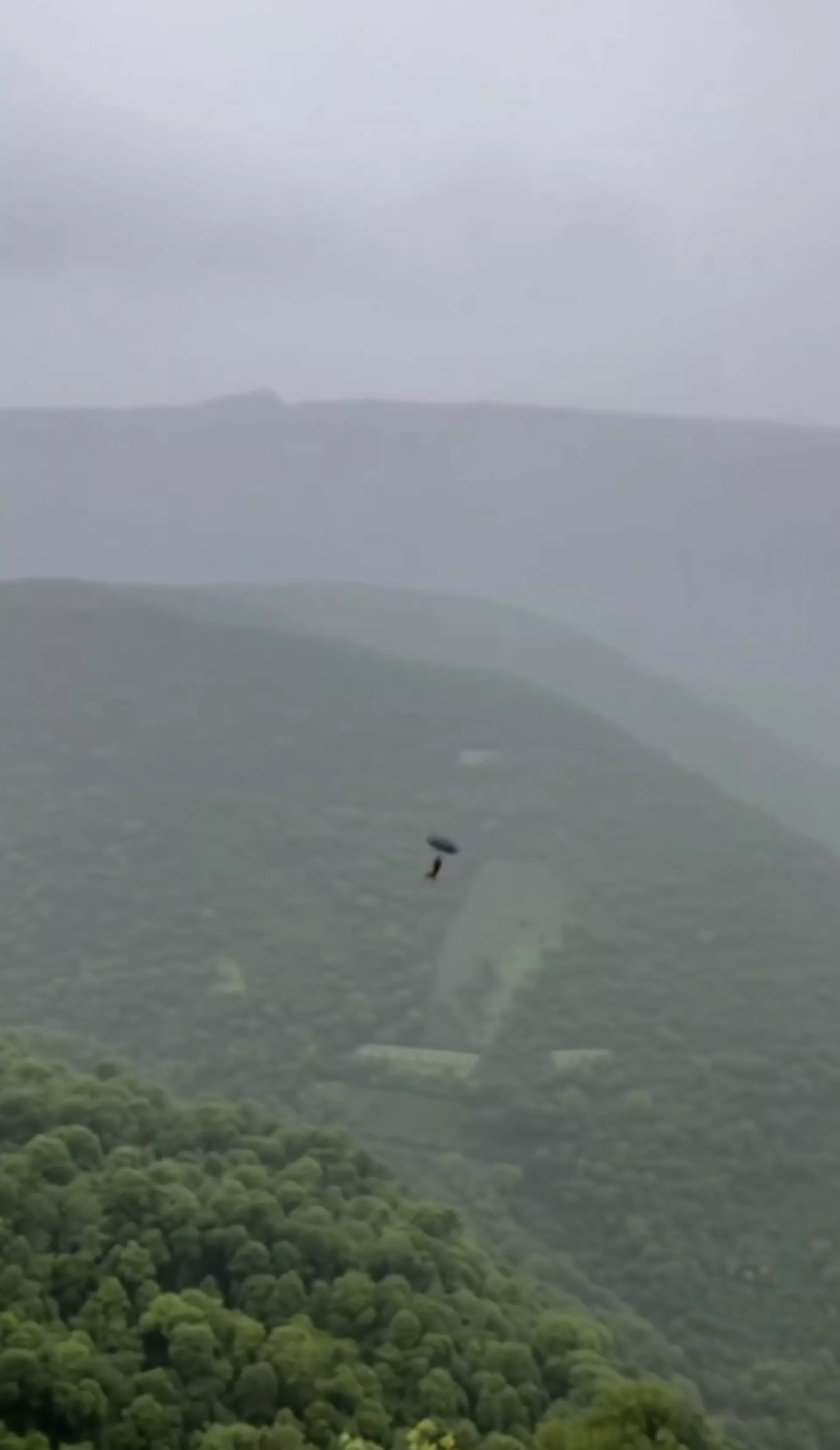 两个AI模型认为视频是AI生成或经过后制,Gemini认为“猴子持伞飞落”画面出现了不合理的物理现象。(视频截图) 两个AI模型认为视频是AI生成或经过后制,Gemini认为“猴子持伞飞落”画面出现了不合理的物理现象。(视频截图)