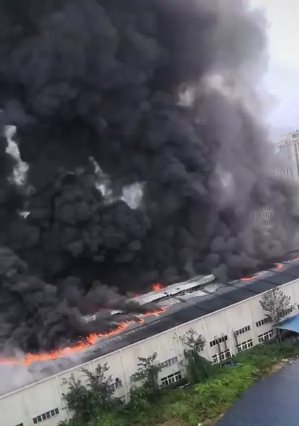 （图为网友发布的视频截图）