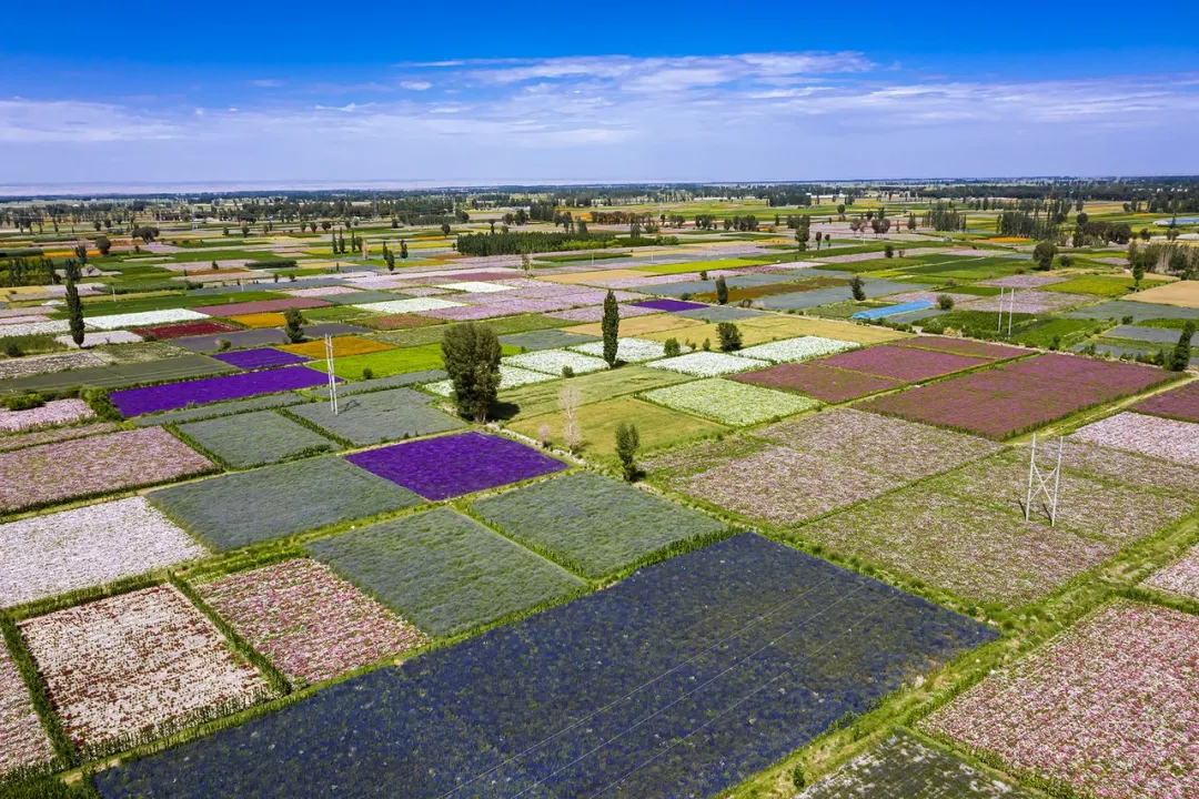 2000元能买70平米住房，中国这座城市火了