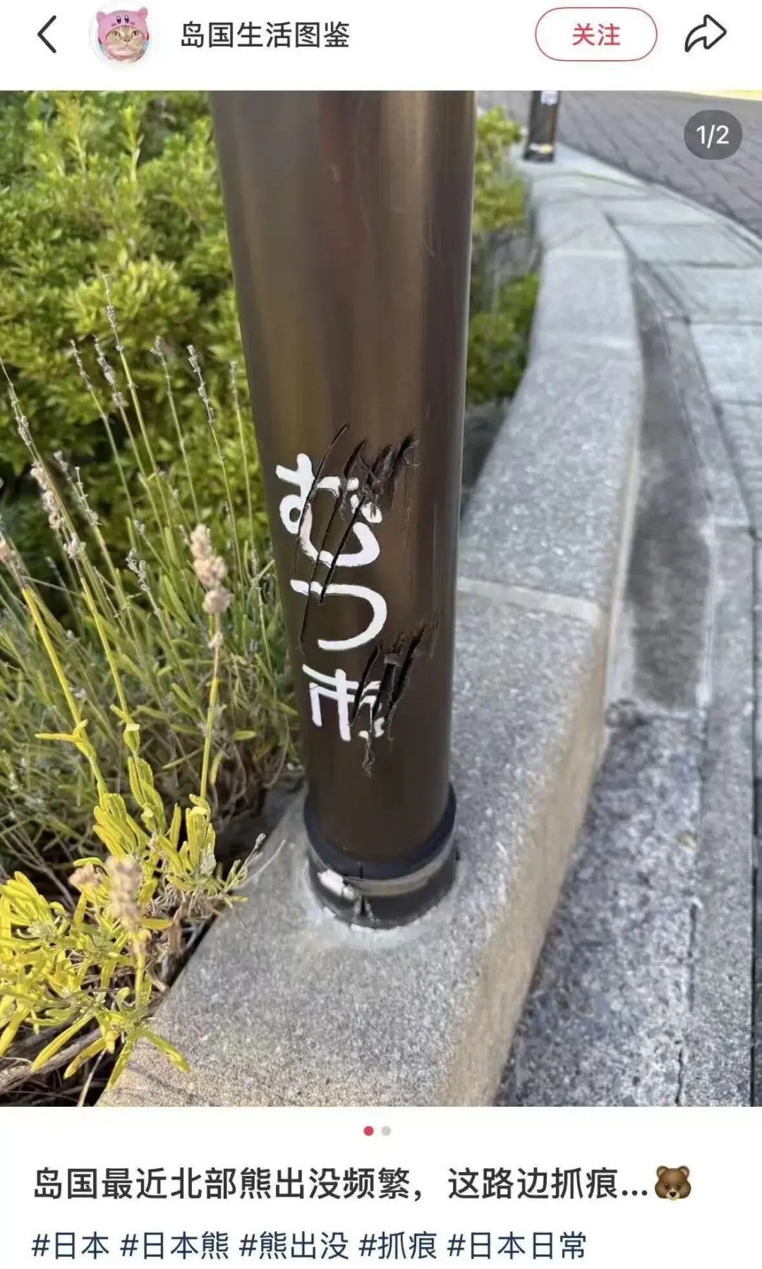 “开始记得人的味道” 日本熊灾最新进展吓人 “开始记得人的味道” 日本熊灾最新进展吓人