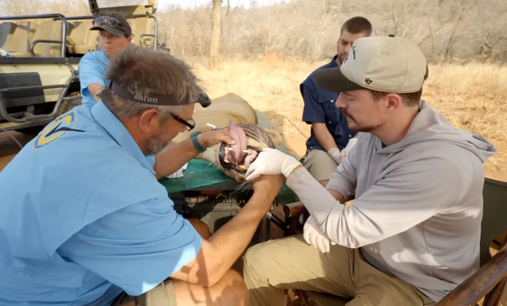 全球第一大网红 在非洲撒钱做慈善 全球第一大网红 在非洲撒钱做慈善