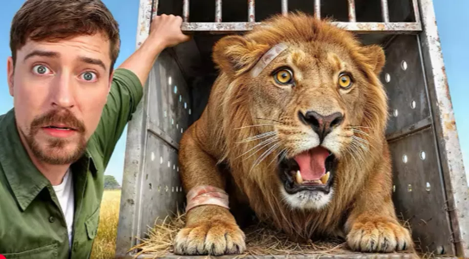 全球第一大网红，在非洲撒钱做慈善