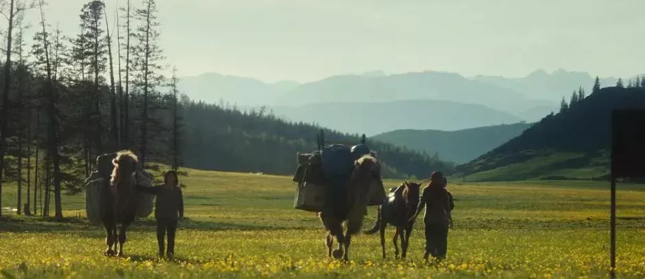 北上广疯抢天价奶皮子,内蒙人看了又气又笑