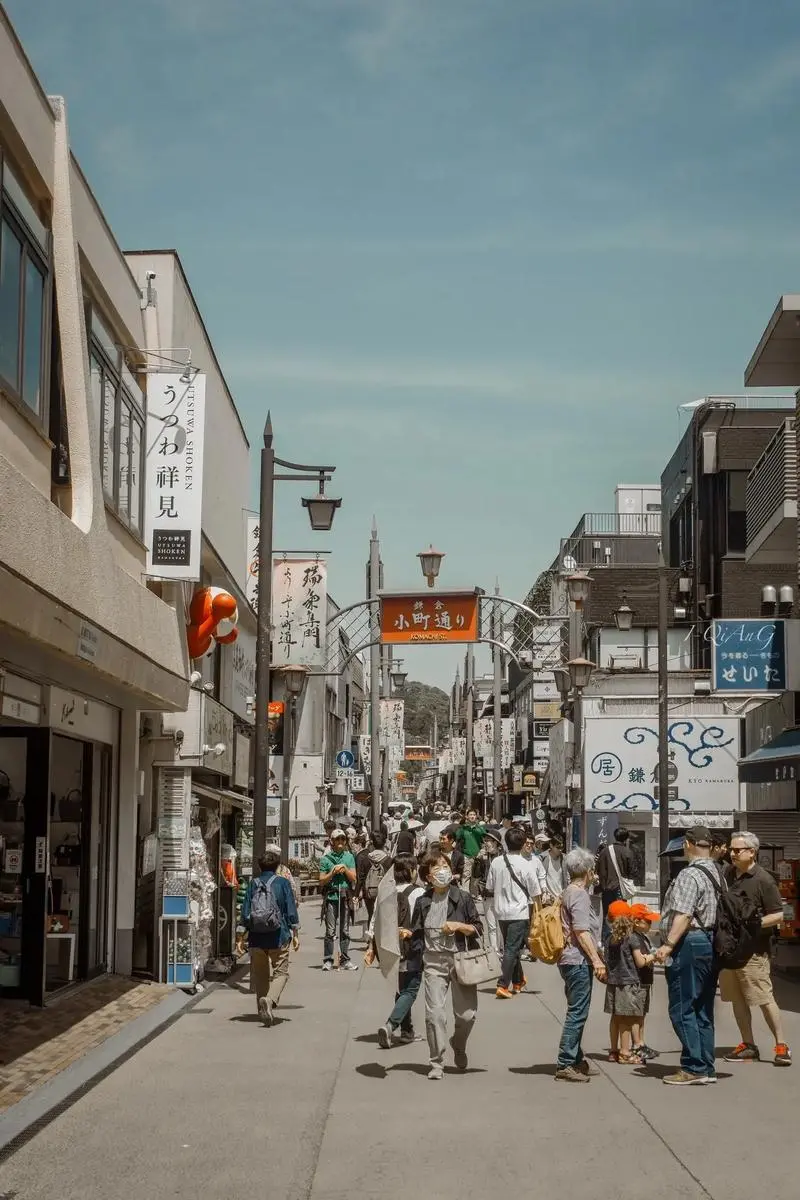 图片来源于网络