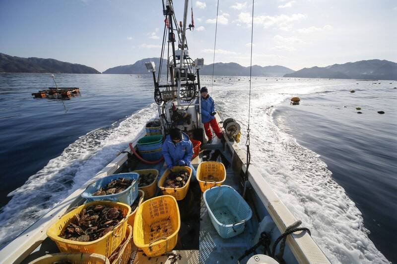 美国驻日大使葛拉斯发文力挺，中国上次无端禁止日本海鲜进口时，美国与日本站在一起，「这次我们也会再次与盟友站在一起。」（欧新社）